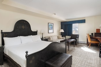 Standard Room, 1 King Bed with Sofa bed, Mountain View