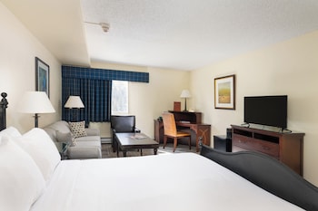Standard Room, 1 King Bed with Sofa bed, Mountain View