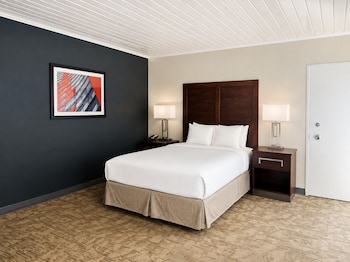 Deluxe Single Room, 1 Queen Bed, Non Smoking, Kitchenette