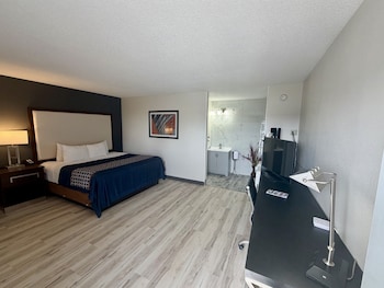 Single Room, 1 King Bed, Non Smoking