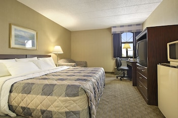 Standard Room, 1 King Bed