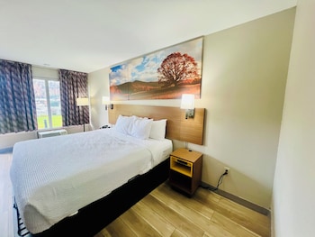 Room, 1 King Bed, Non Smoking (Pet-Friendly)