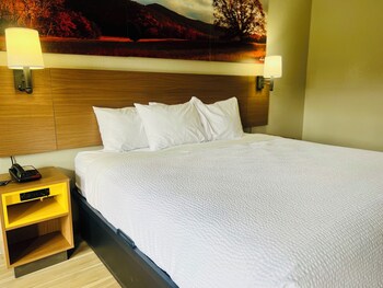 Room, 1 King Bed, Non Smoking (Pet-Friendly)
