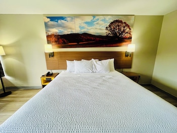 Room, 1 King Bed, Non Smoking (Pet-Friendly)