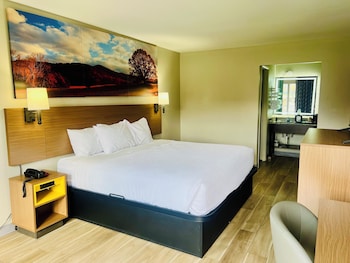 Room, 1 King Bed, Non Smoking