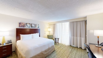 Room, 1 King Bed