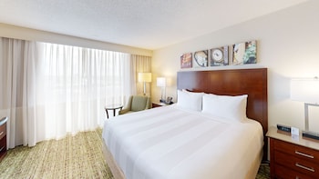 Room, 1 King Bed (Hearing Accessible)