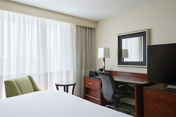 Room, 1 King Bed