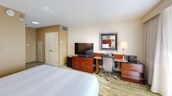 Room, 1 King Bed (Hearing Accessible)