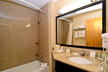 Room, 1 King Bed, Non Smoking, Pet Friendly