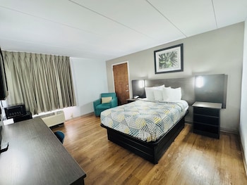 Standard Room, 1 Double Bed, Accessible, Non Smoking