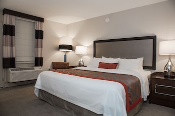 Room, 1 King Bed, Non Smoking