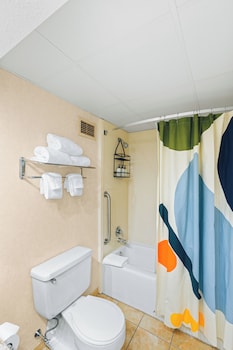 Standard Room, 1 King Bed, Non Smoking, Mountain View (Top Floor)