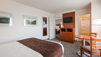 Standard Room, 1 King Bed (1st Floor;Pet Friendly)
