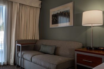 Standard Room, 1 King Bed, Accessible, Refrigerator & Microwave