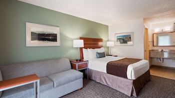Standard Room, 1 Queen Bed, Refrigerator & Microwave (Pet Friendly)