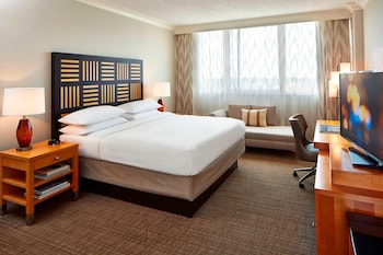 Room, 1 King Bed