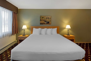Standard Room, 1 King Bed, Accessible, Non Smoking