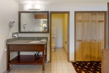 Standard Room, 1 King Bed, Accessible, Non Smoking