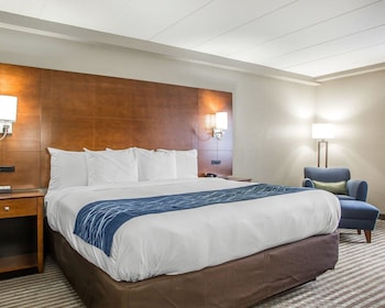 Standard Room, 1 King Bed, Non Smoking