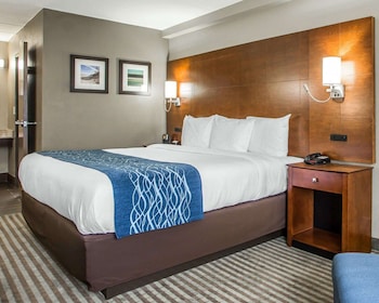 Room, 1 King Bed, Accessible, Non Smoking (Accessible Tub)
