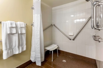 Room, 1 King Bed, Accessible, Non Smoking (Mobility, Roll-In Shower)