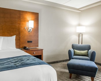 Standard Room, 1 King Bed, Non Smoking