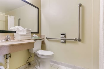 Standard Room, 1 King Bed, Accessible, Non Smoking (1st Floor)