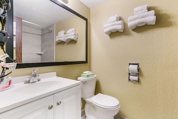 Standard Room, 1 King Bed, Smoking (1st Floor)