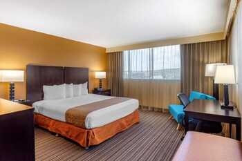 Standard Room, 1 King Bed, Accessible, Non Smoking (with Single Sofabed, View)