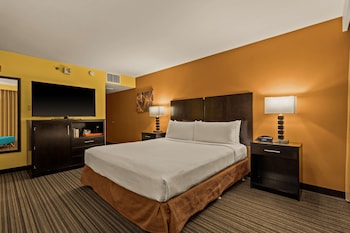 Standard Room, 1 King Bed, Accessible, Refrigerator & Microwave