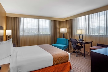 Standard Room, 1 King Bed, Accessible, Non Smoking (with Single Sofabed, View)