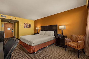 Standard Room, 1 King Bed, Refrigerator & Microwave, City View