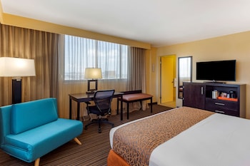 Standard Room, 1 King Bed, Accessible, Non Smoking (with Single Sofabed, View)