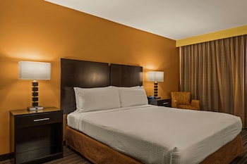 Standard Room, 1 King Bed, Refrigerator & Microwave, City View