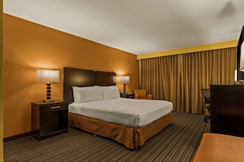 Standard Room, 1 King Bed, Refrigerator & Microwave, City View