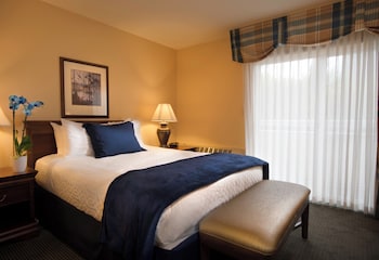 Suite, 1 Queen Bed