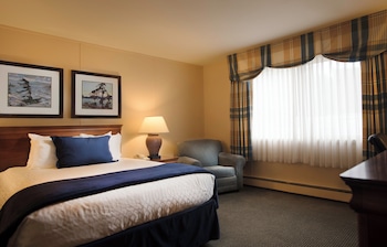 Standard Room, 1 King Bed, Accessible