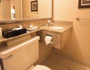 Suite, 1 King Bed with Sofa bed
