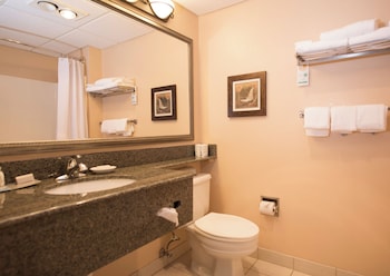 Suite, 1 Queen Bed