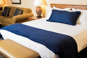 Suite, 1 King Bed with Sofa bed