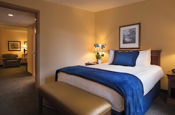 Suite, 1 Queen Bed