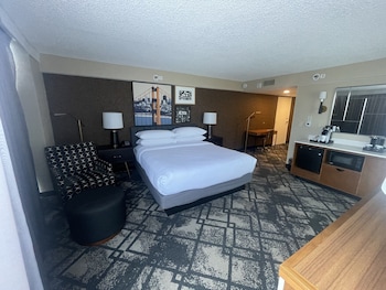 Studio Suite, 1 King Bed