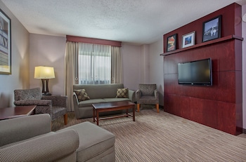 Suite, 1 King Bed with Sofa bed