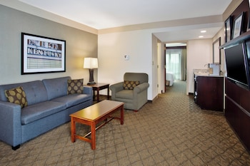 Suite, 1 King Bed