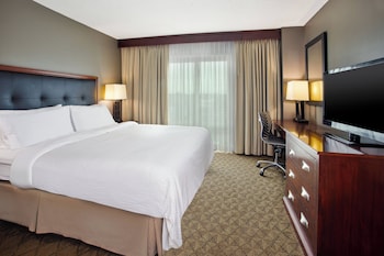Suite, 1 Bedroom