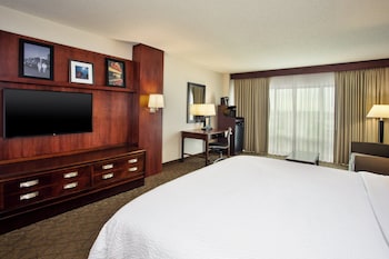 Standard Room, 1 King Bed with Sofa bed
