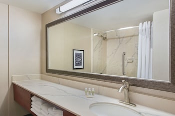 Suite, 1 King Bed with Sofa bed
