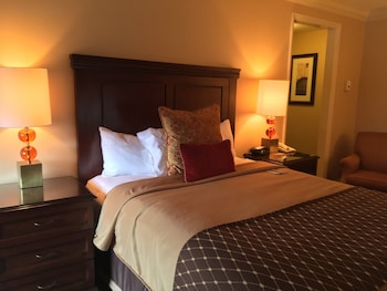 Suite, 1 Bedroom