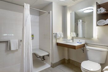 Standard Room, 1 King Bed, Roll-in Shower (Communications)